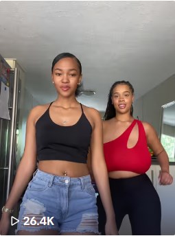 theemells29 tiktok videos