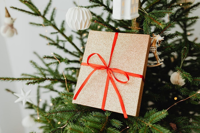 unisex Christmas gift ideas under $50